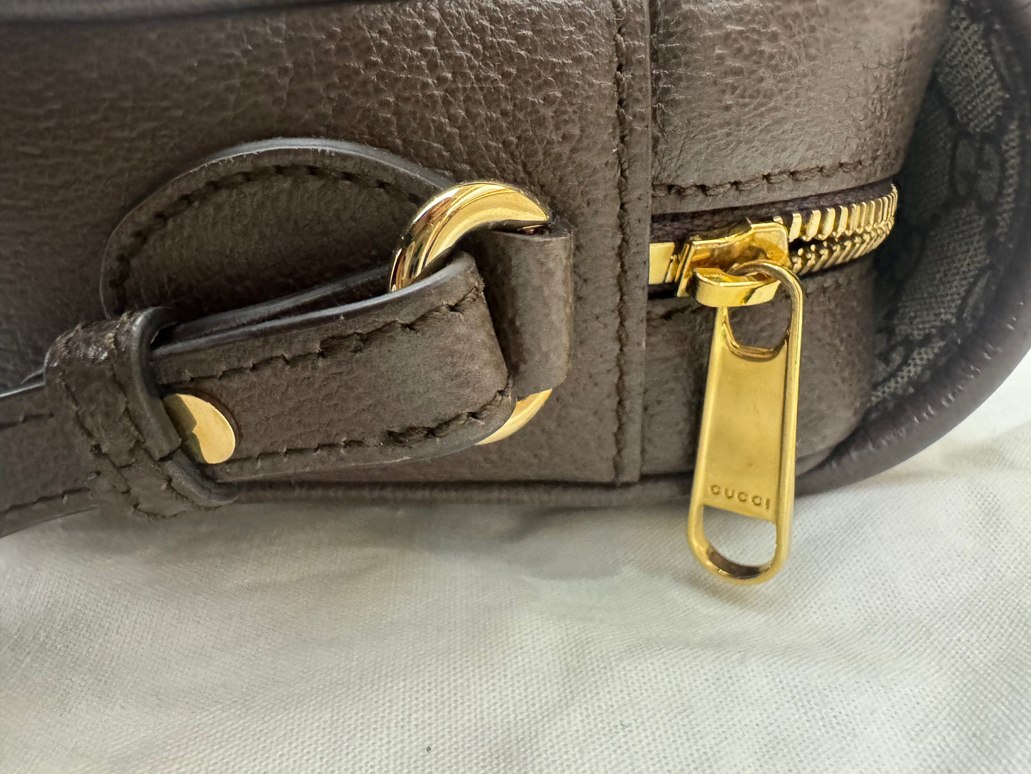 Gucci Ophidia