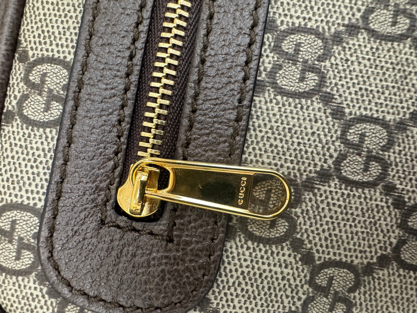 Gucci Ophidia