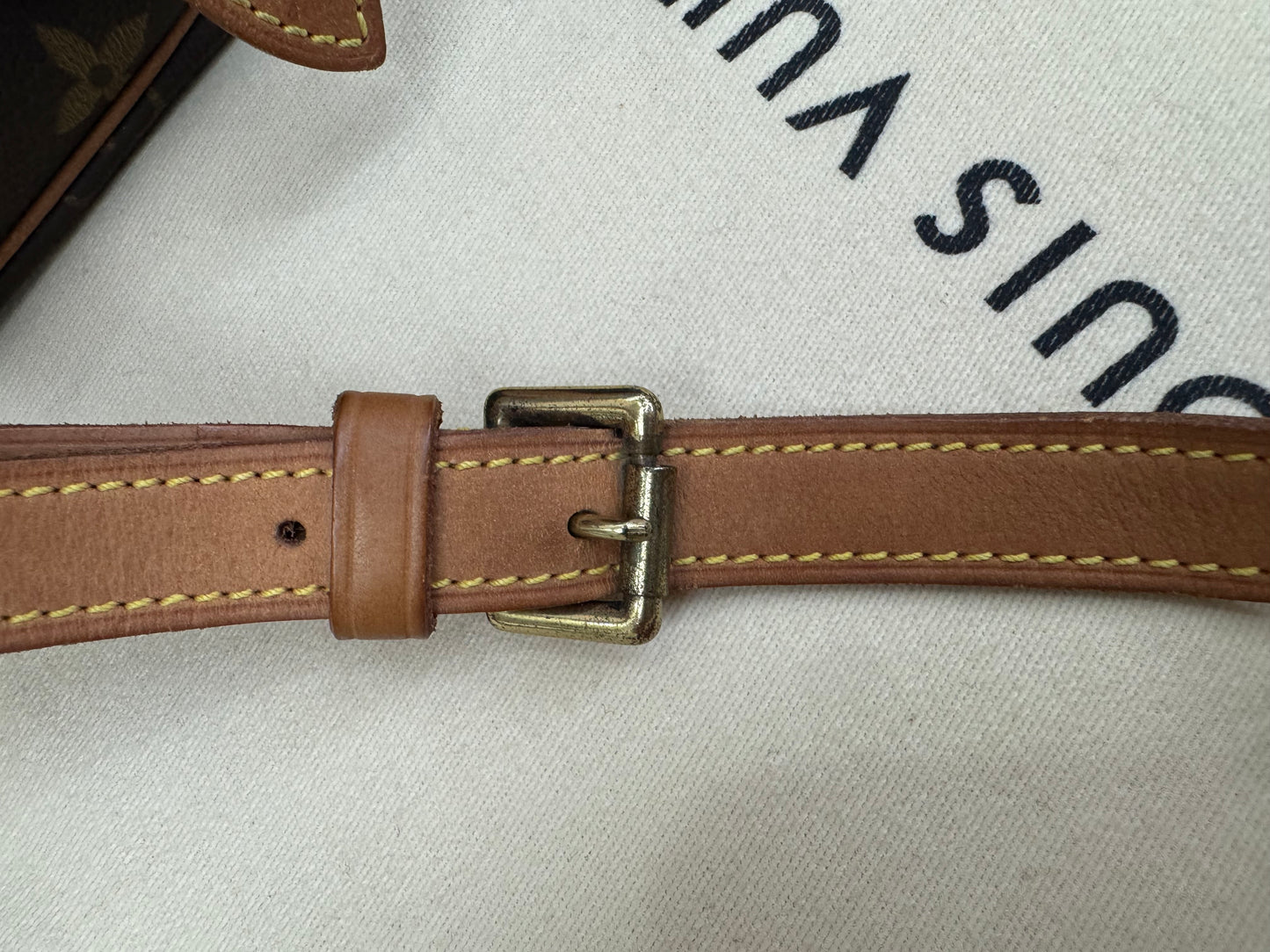Louis Vuitton Sologne
