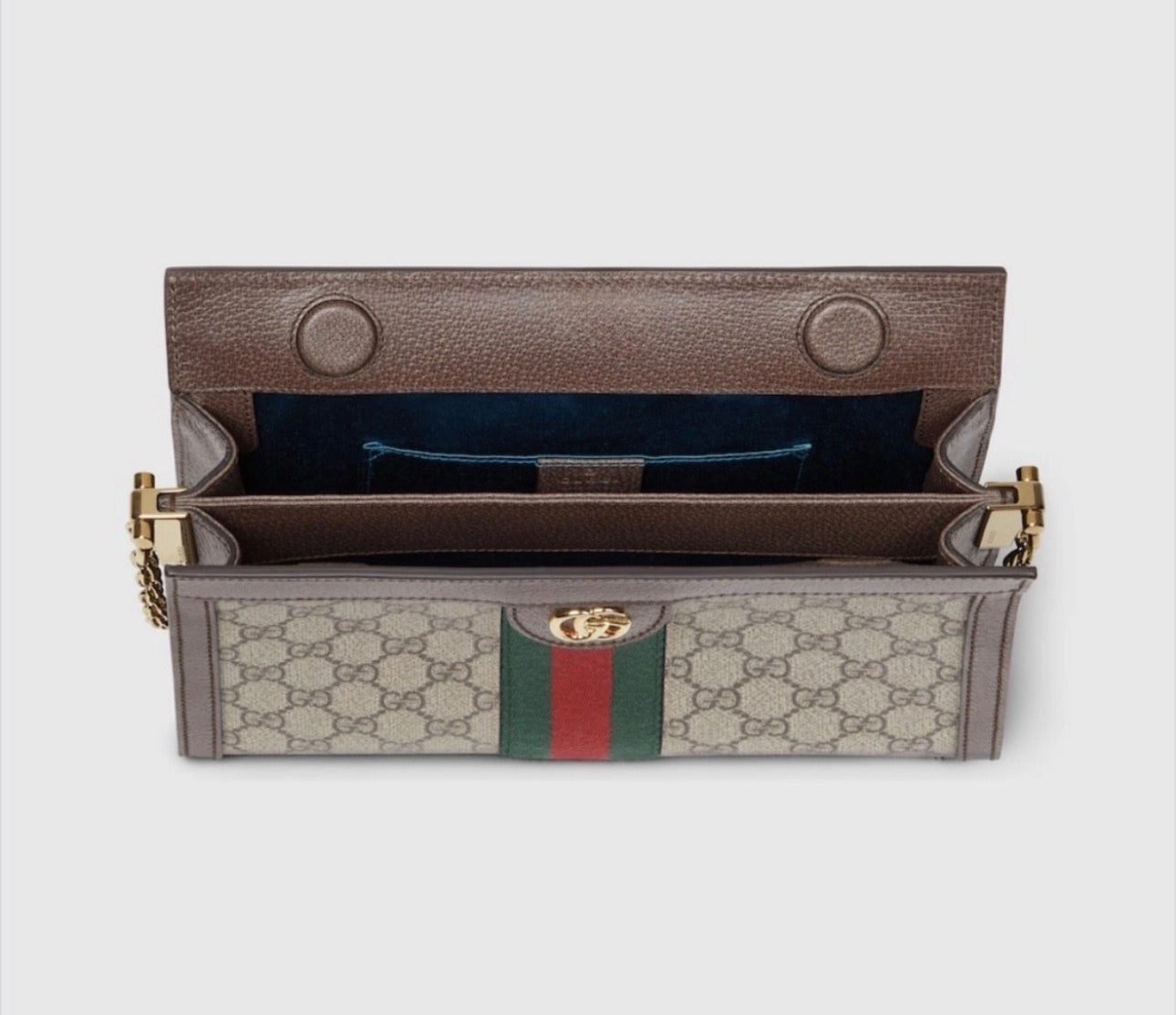 Gucci Ophidia
